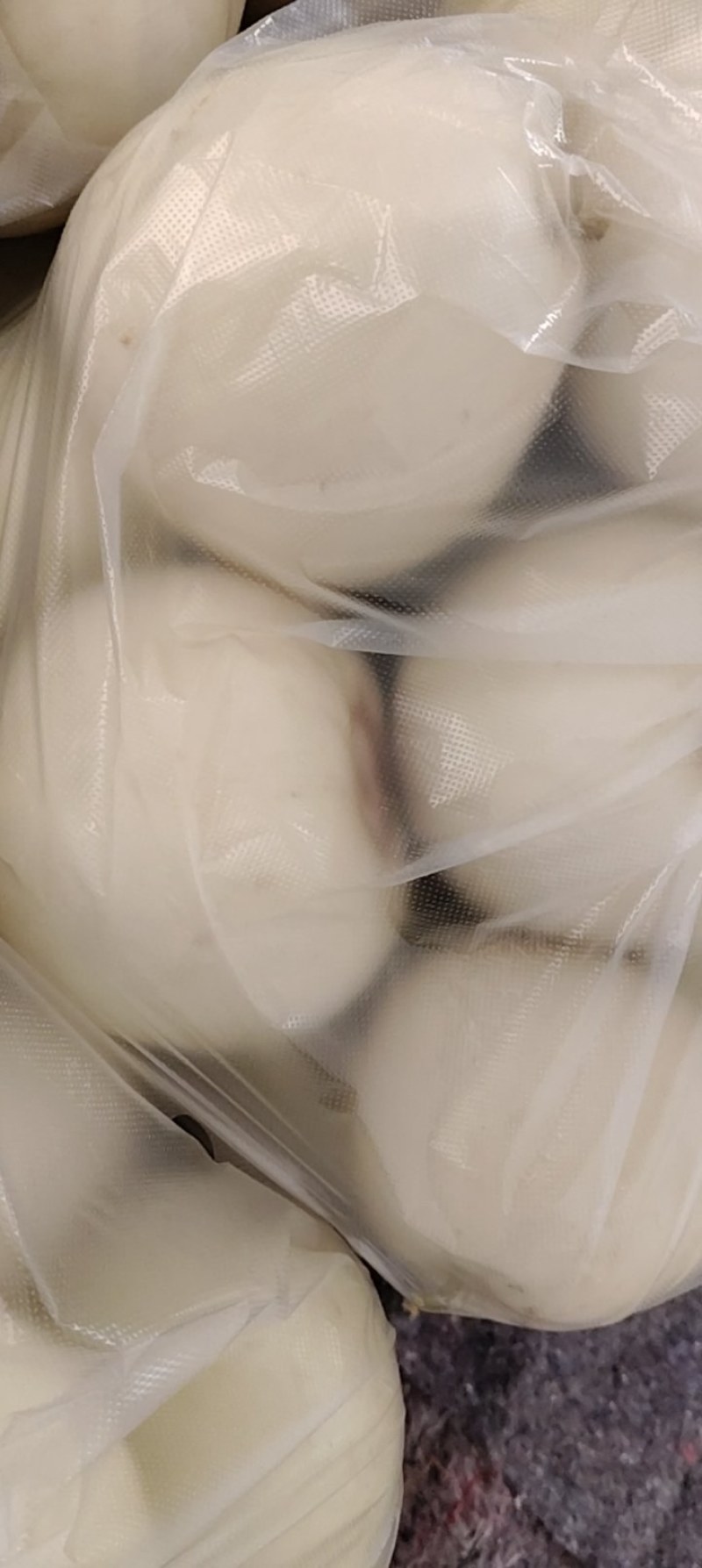 美浓甜瓜