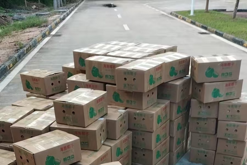 海南文昌老毛椰（地标农产品）4个装。6个装。一件代发。