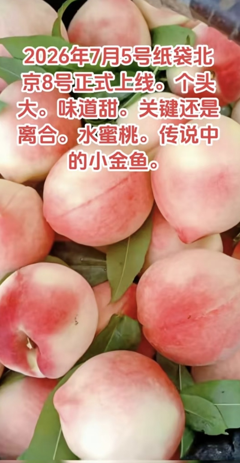 。北京8号陆续上市中。有需求的可以联系。