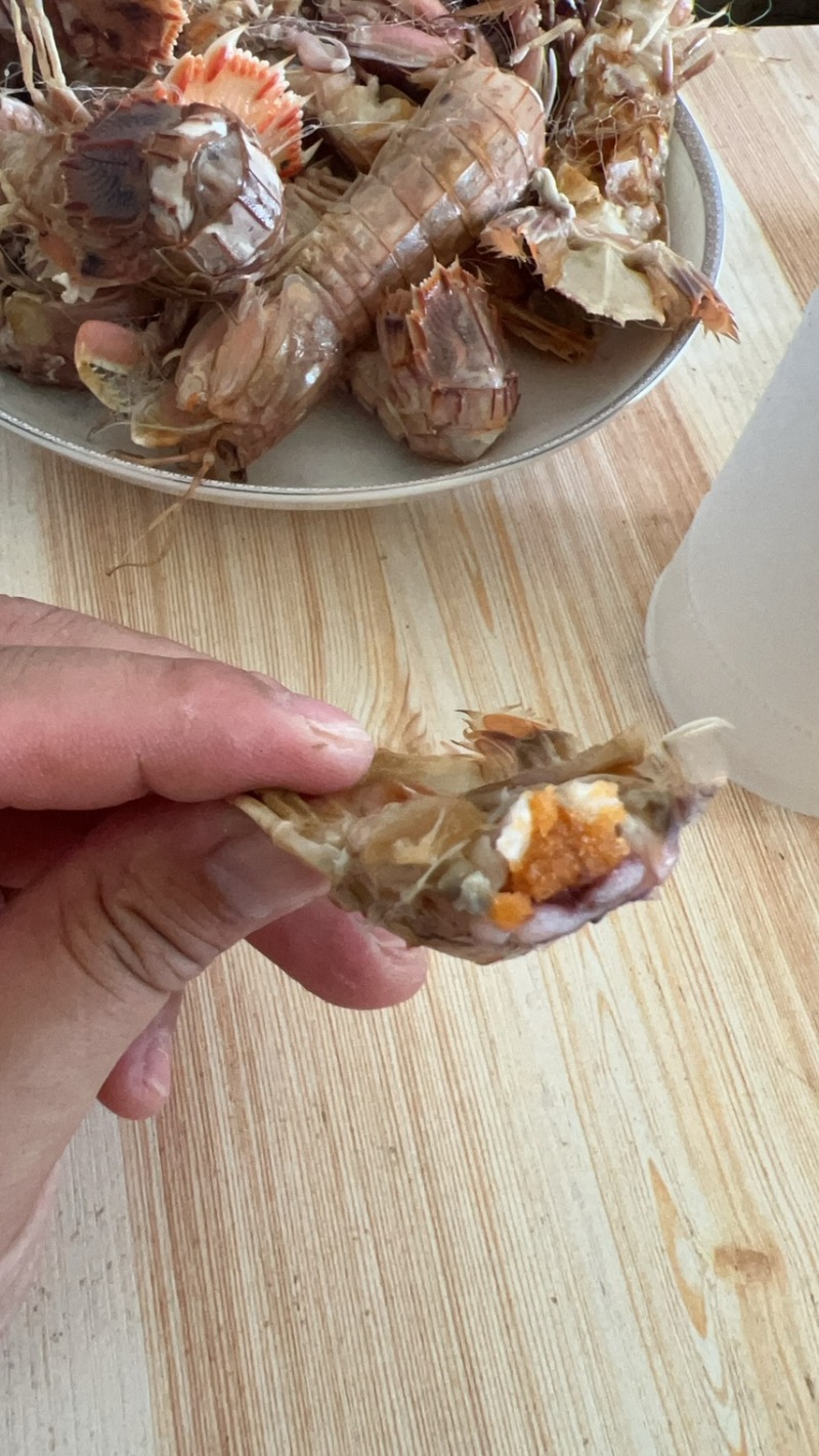 皮皮虾跟我走一起去找蓝朋友