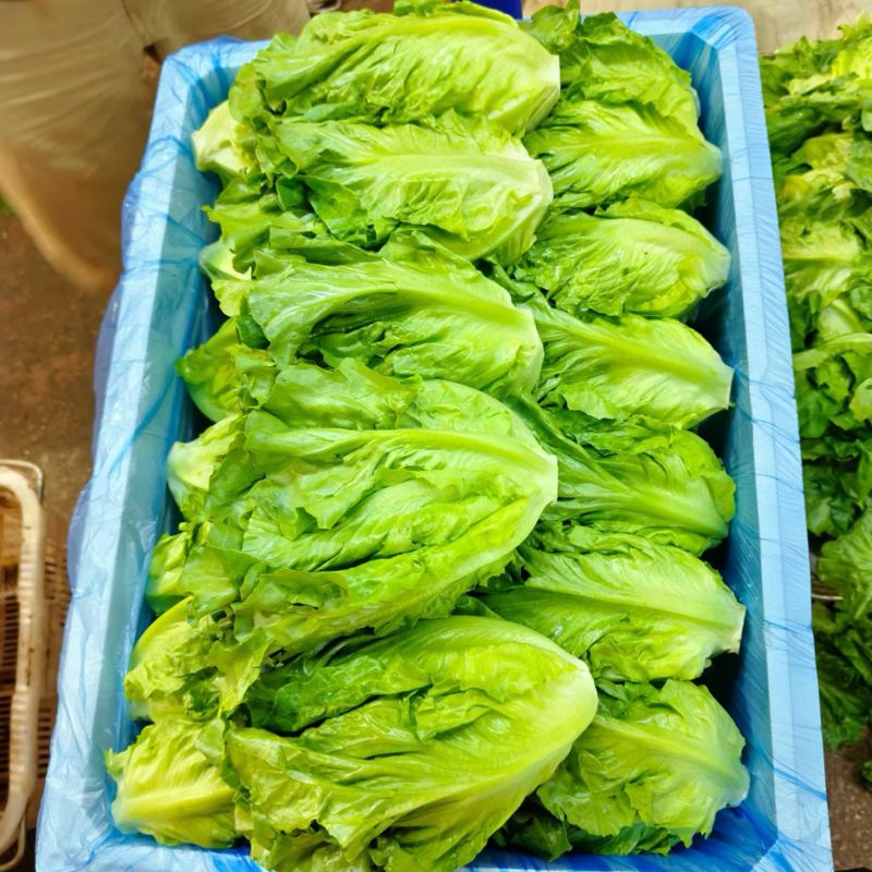 好货意大利