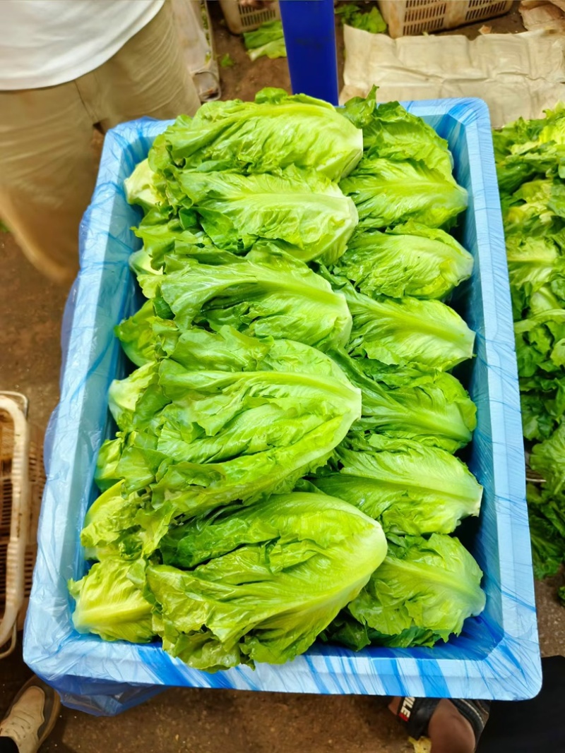 好货意大利