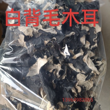 白背毛木耳优质毛木耳干品毛木耳批发零售毛木耳好货毛木耳