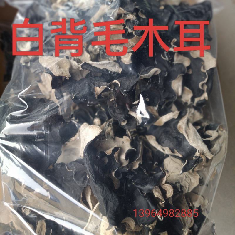 白背毛木耳优质毛木耳干品毛木耳批发零售毛木耳好货毛木耳