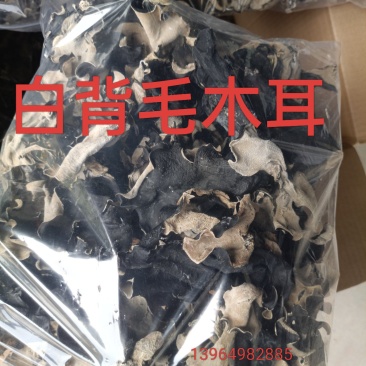 白背黑木耳优质毛木耳无根毛木耳剪根头茬毛木耳挖洞毛木耳