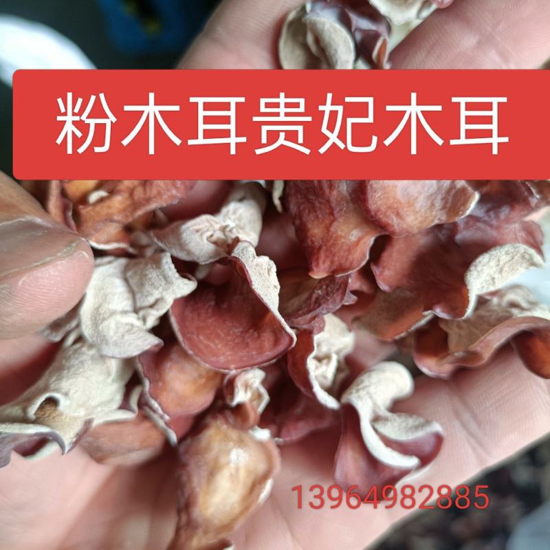 贵妃粉木耳粉耳无根粉木耳一级粉木耳优质干品粉木耳粉耳粉耳