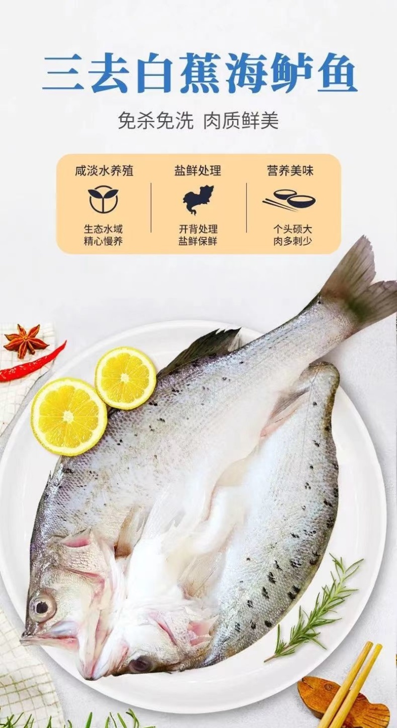 地标特产白蕉海鲈
