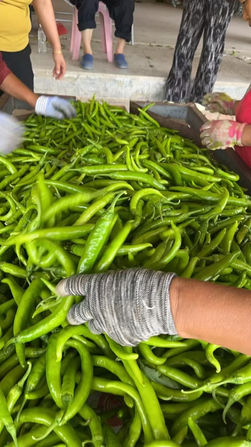 产地直发一手货源诚信第一走超市市场电商