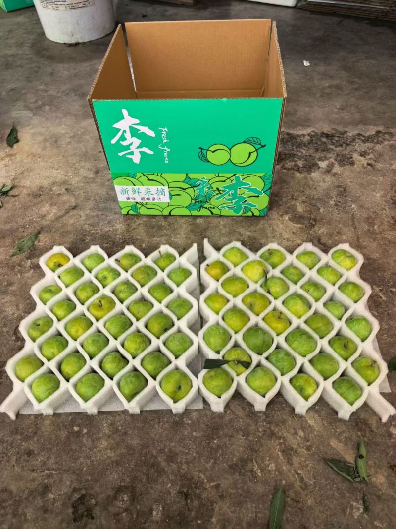 脱骨李脆甜快递代发一件代发团购电商供应