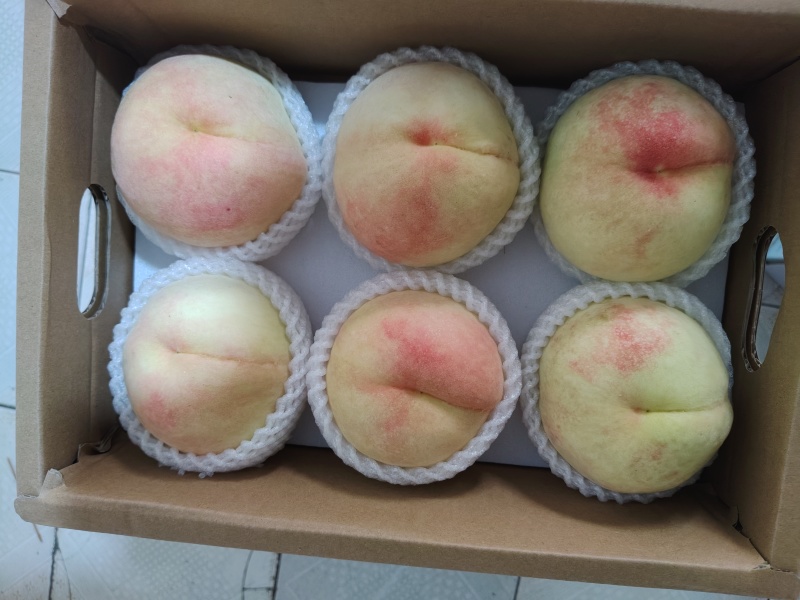 湖景蜜露，电商代发，社区团购，市场批发，正宗阳山水蜜桃