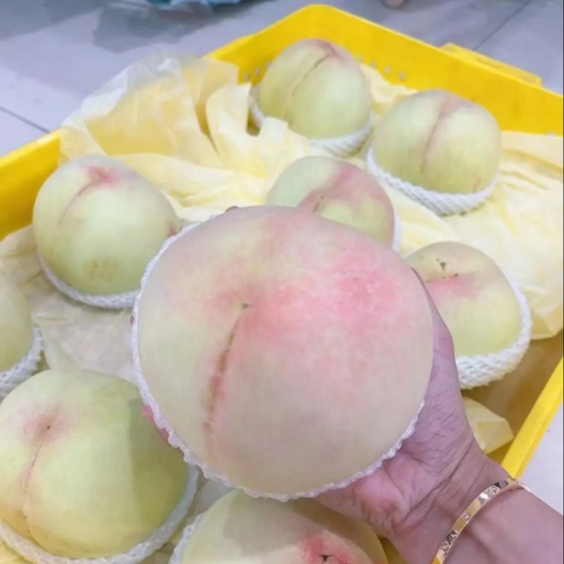 市场批发.社区团购.电商供货，品质保质保量，自家果园