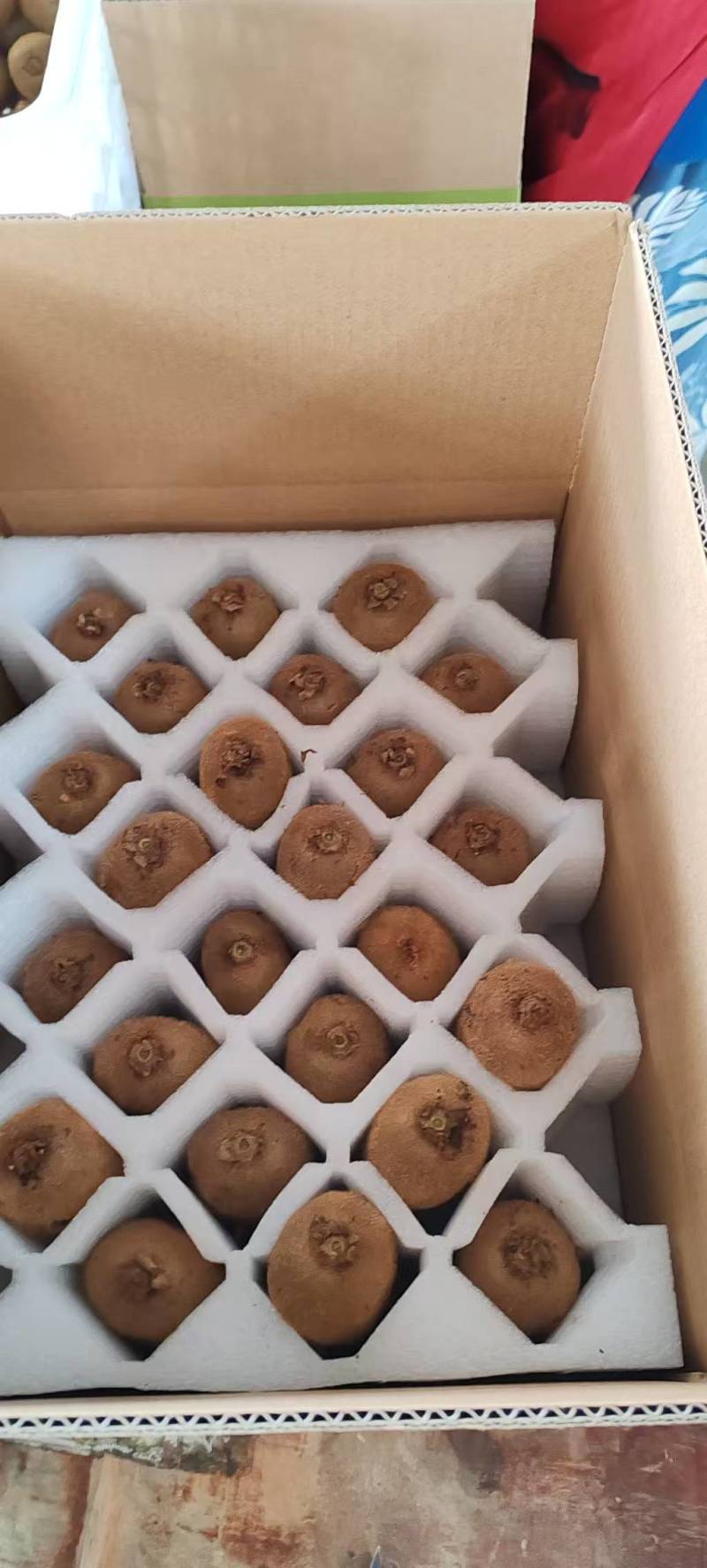 猕猴桃大量上市，口感脆甜，可快递代发，团购电商供应