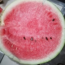 大棚美都西瓜