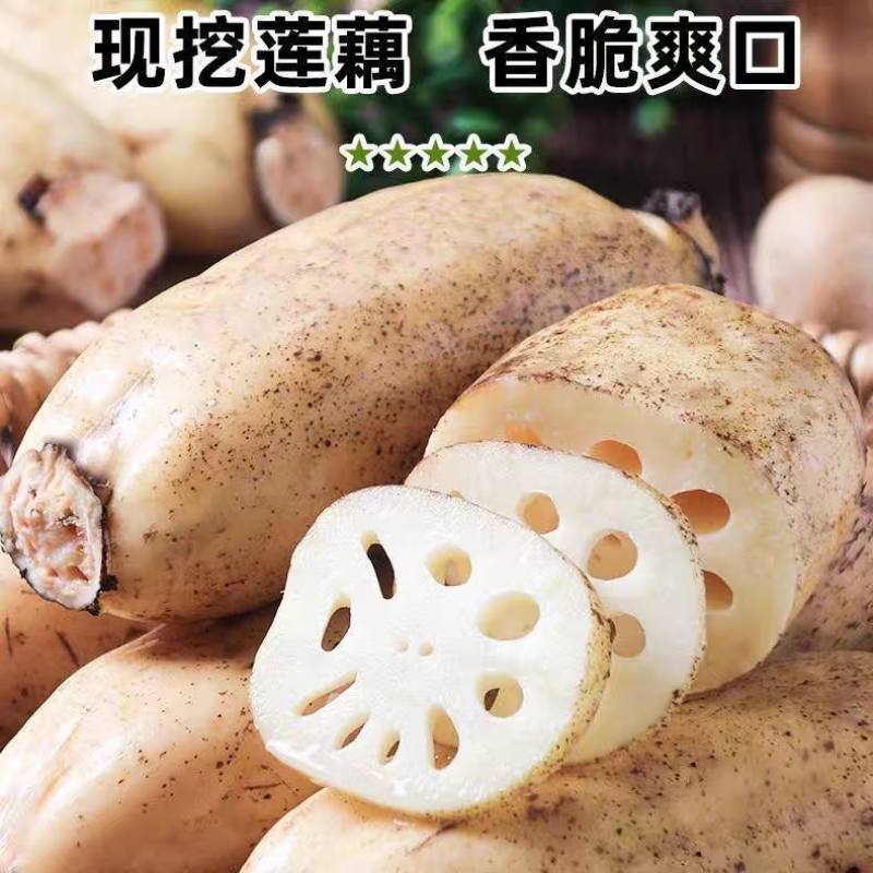 莲藕白莲藕产地看货论价保质保量欢迎订购