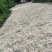 足干白鸭毛无杂质