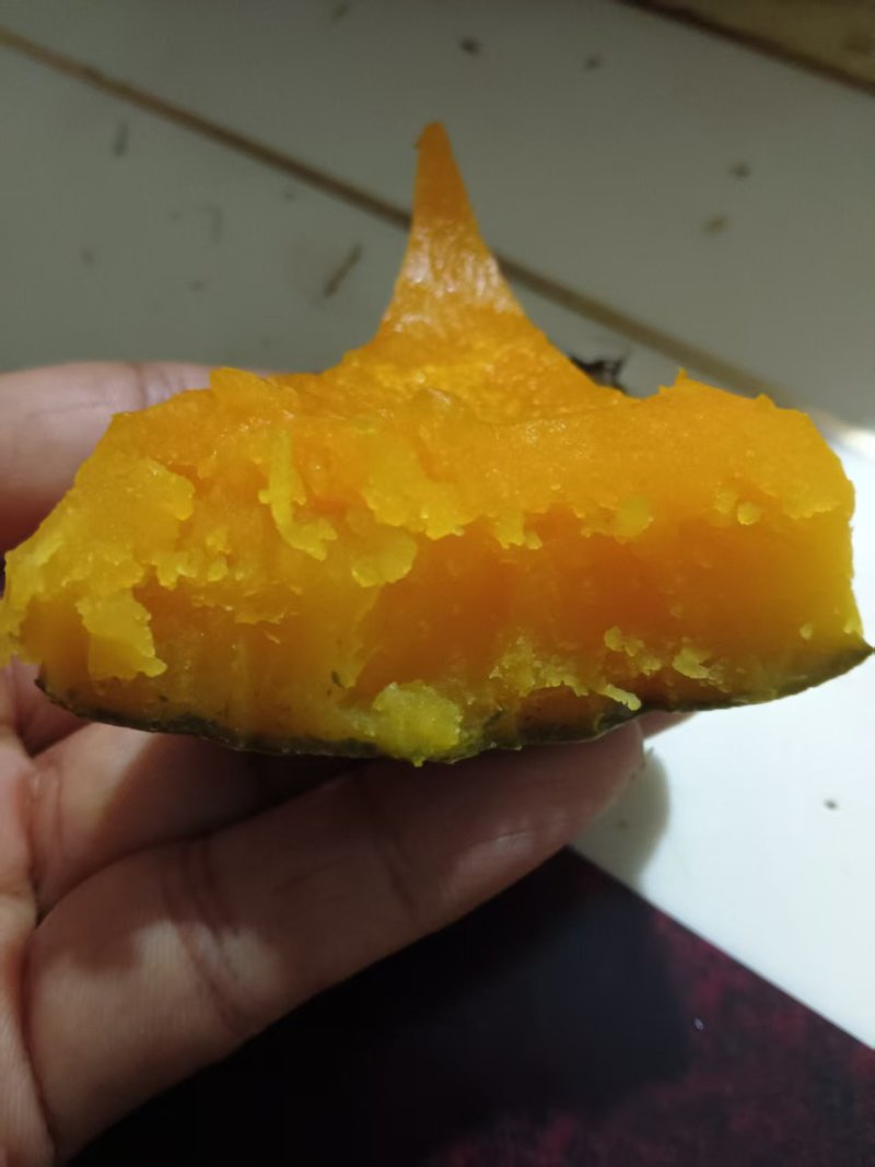 板栗南瓜