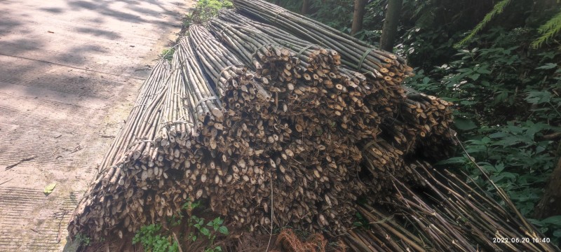 竹竿各种菜架支撑杆，果木支撑杆，支持定制，半实心保用三年
