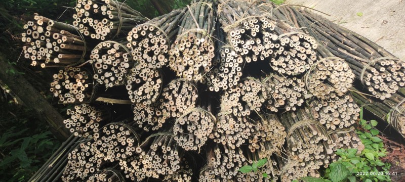 竹竿各种菜架支撑杆，果木支撑杆，支持定制，半实心保用三年