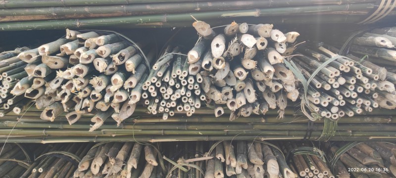 竹竿各种菜架支撑杆，果木支撑杆，支持定制，半实心保用三年