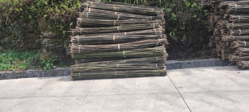 竹竿各种菜架支撑杆，果木支撑杆，支持定制，半实心保用三年