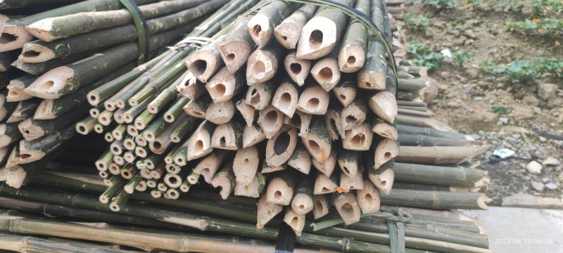 竹竿各种菜架支撑杆，果木支撑杆，支持定制，半实心保用三年