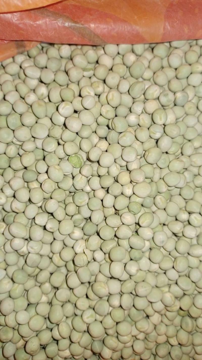 乌克兰干绿豌豆含税价非转基因有欧盟认证6mm-10mm通