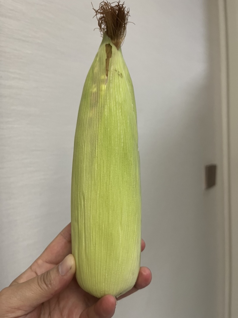 新鲜玉米