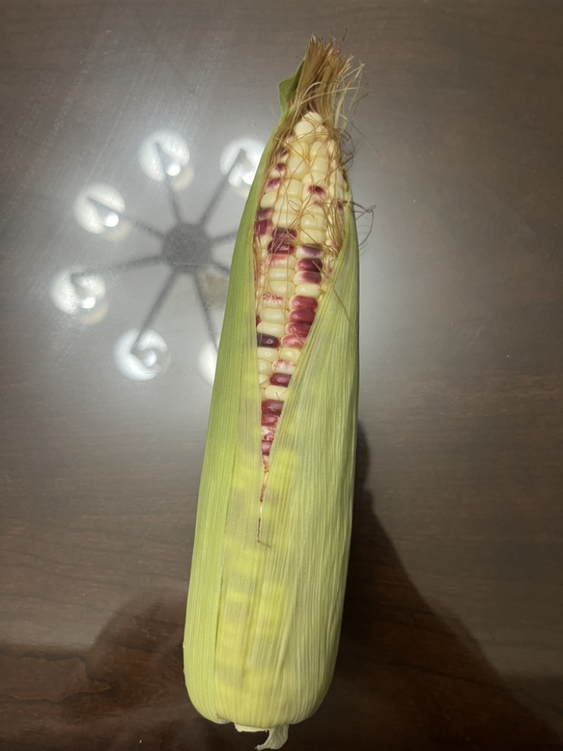新鲜玉米