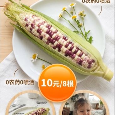 新鲜玉米