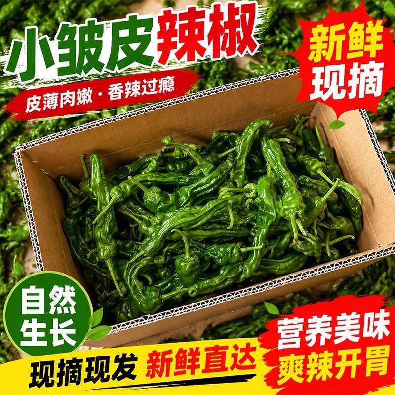 精品香辣大黑皱皮质量特好适合电商超市，市场，质量有保障