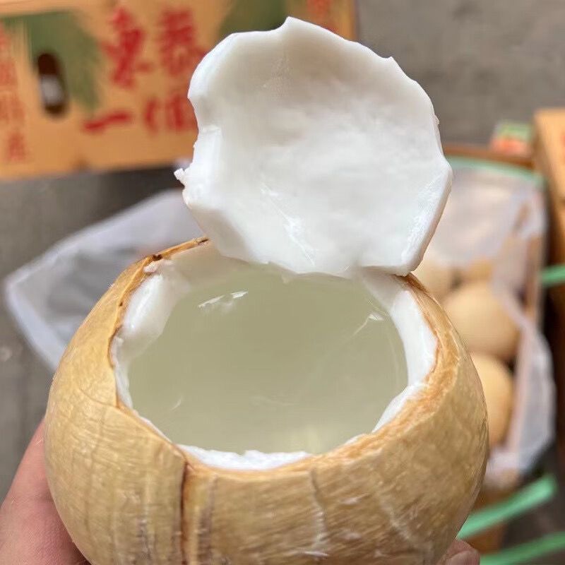海南文昌牛奶椰皇（地标农产品）4～6个箱装当季新鲜采摘