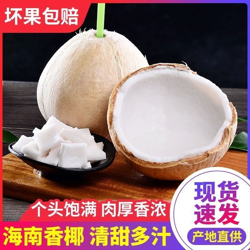 海南文昌牛奶椰皇（地标农产品）4～6个箱装当季新鲜采摘