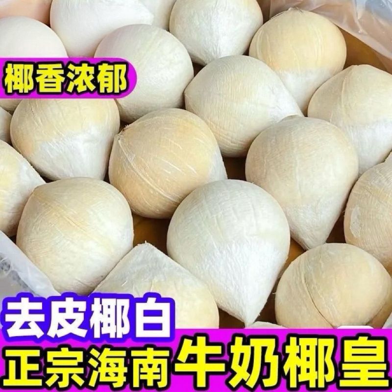 海南文昌牛奶椰皇（地标农产品）4～6个箱装当季新鲜采摘