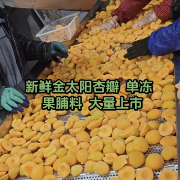 杏瓣，单冻，果脯料