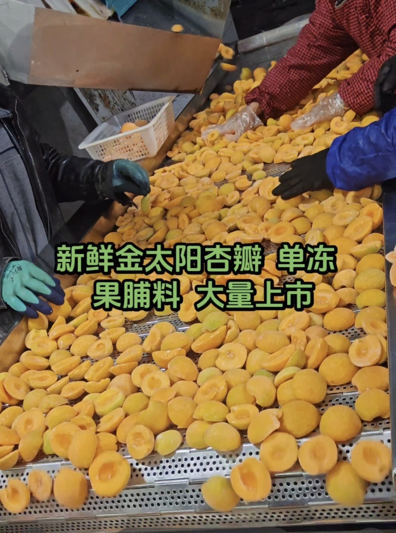 杏瓣，单冻，果脯料