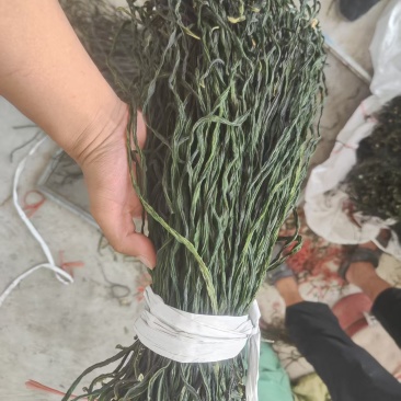 精品干豆角