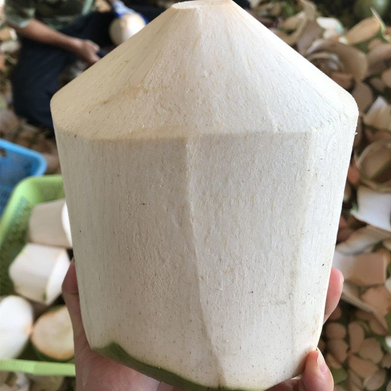 海南文昌椰青（地标农产品）9个箱装一件代发