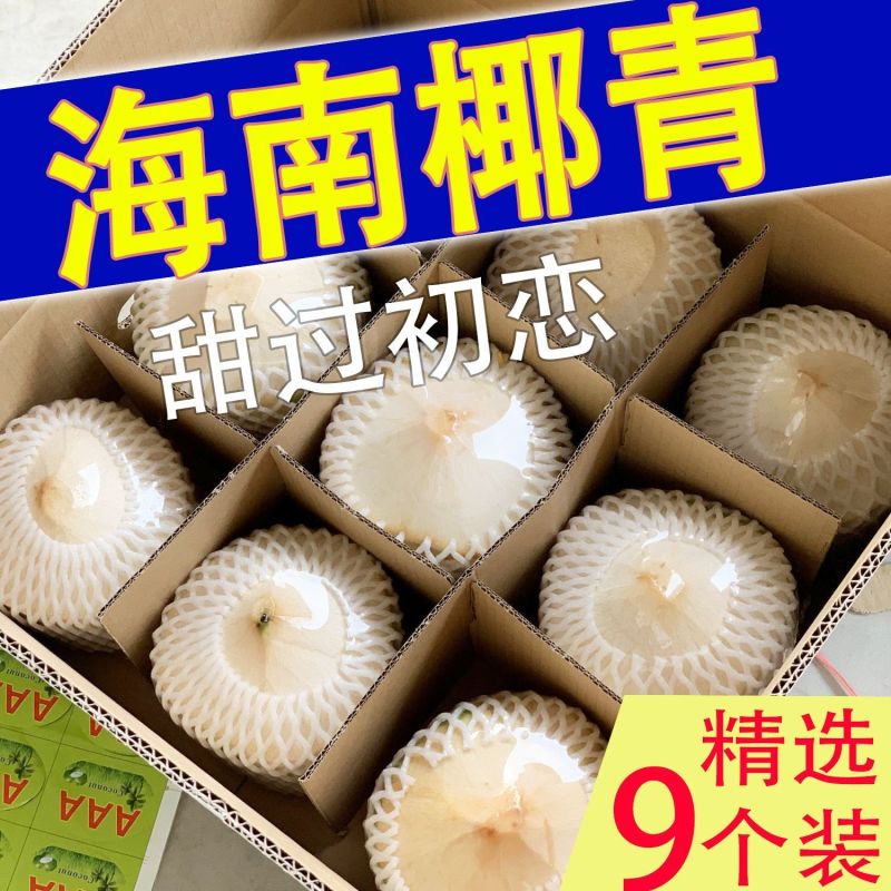 海南文昌椰青（地标农产品）9个箱装一件代发