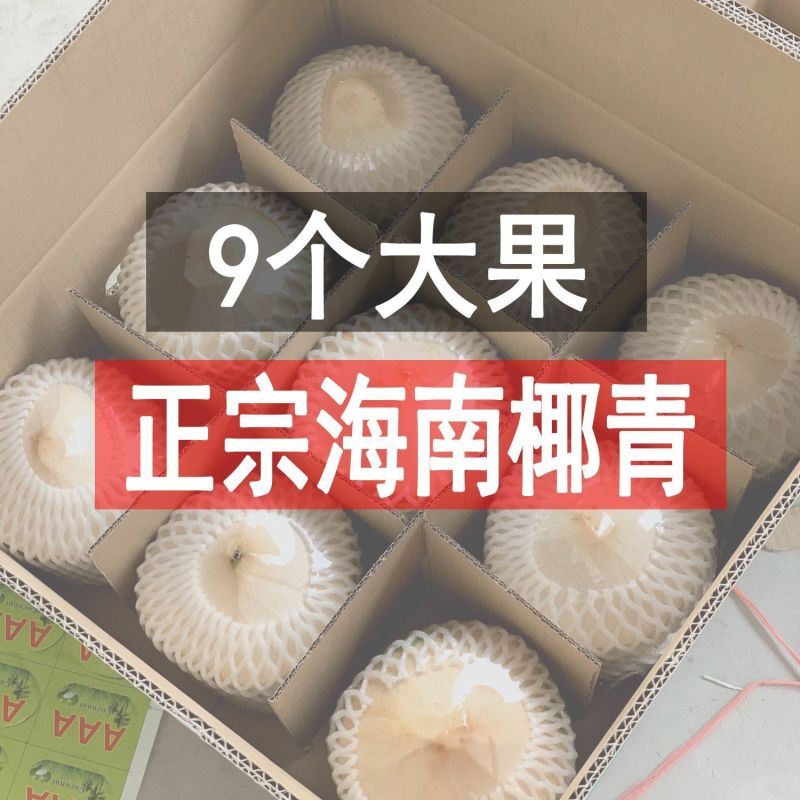 海南文昌椰青（地标农产品）9个箱装一件代发