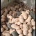花生带壳花生山东大花生海花花生果手选花生果