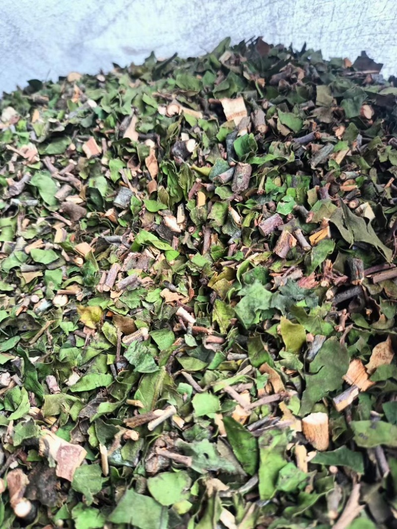 广西巴马寄生茶