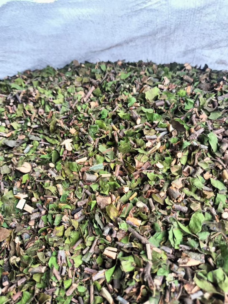 广西巴马寄生茶
