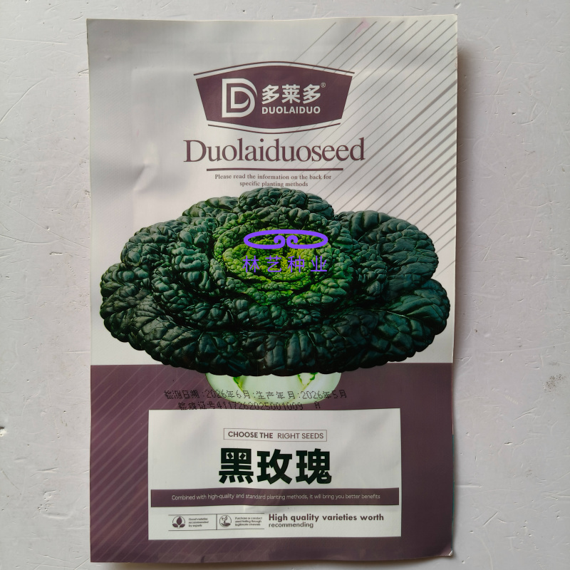 黑玫瑰乌塌菜种子好吃高钙蔬菜养心菊花菜易种春秋四季播农家