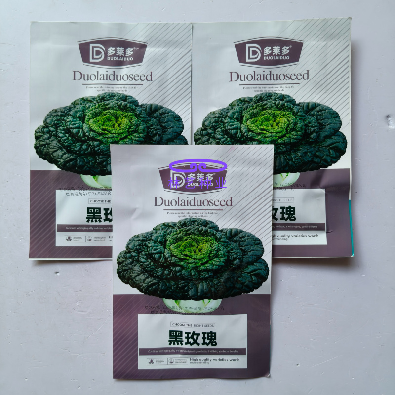 黑玫瑰乌塌菜种子好吃高钙蔬菜养心菊花菜易种春秋四季播农家