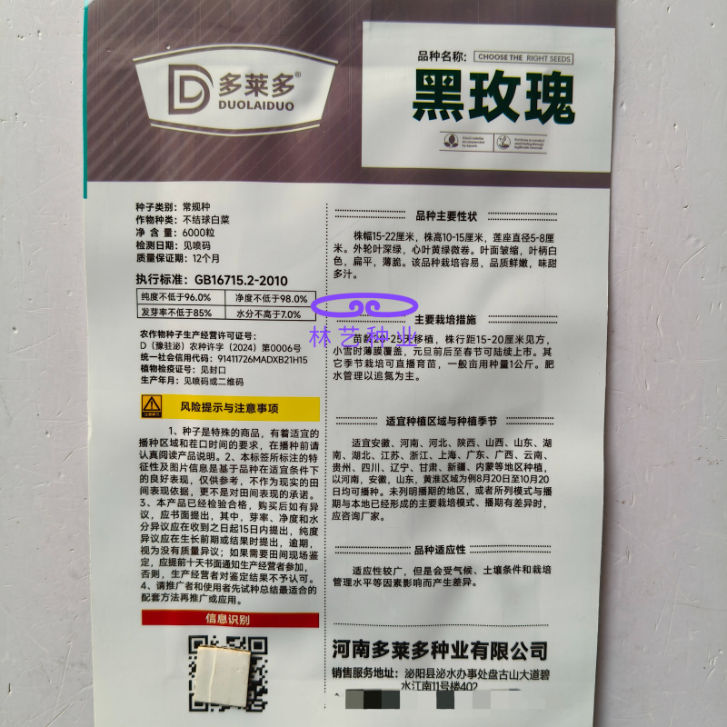 黑玫瑰乌塌菜种子好吃高钙蔬菜养心菊花菜易种春秋四季播农家