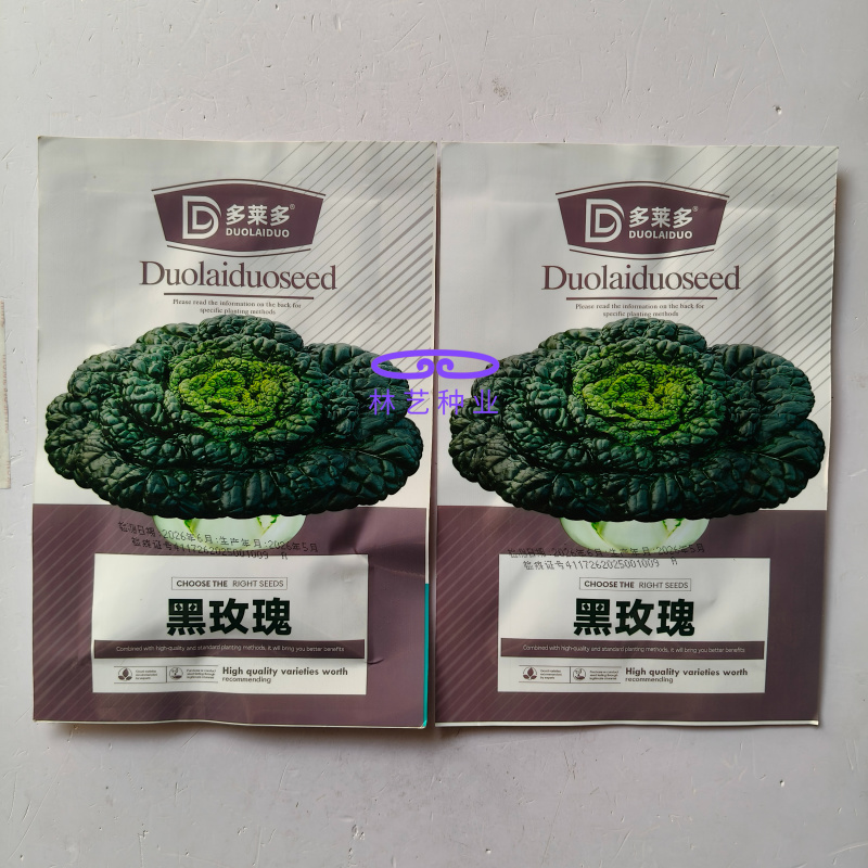 黑玫瑰乌塌菜种子好吃高钙蔬菜养心菊花菜易种春秋四季播农家