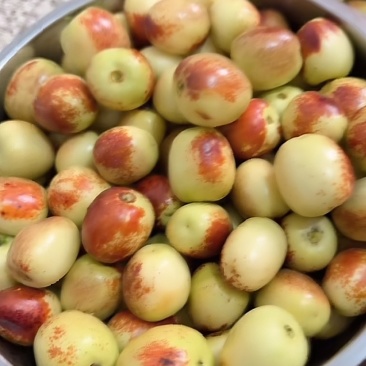 大荔冬枣