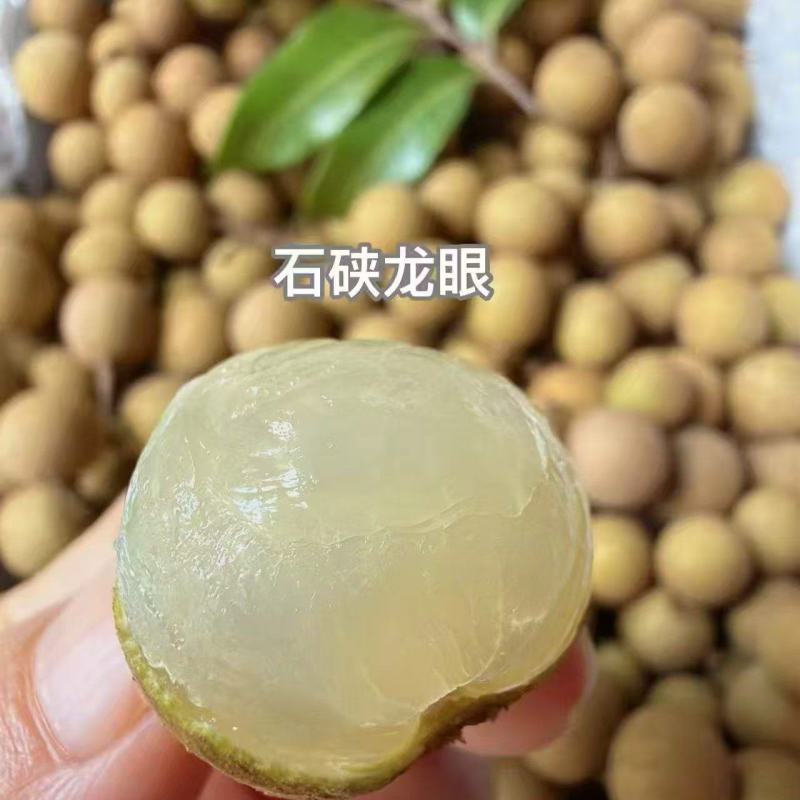 高州石硖龙眼产地直销精品果通货支持代发整车