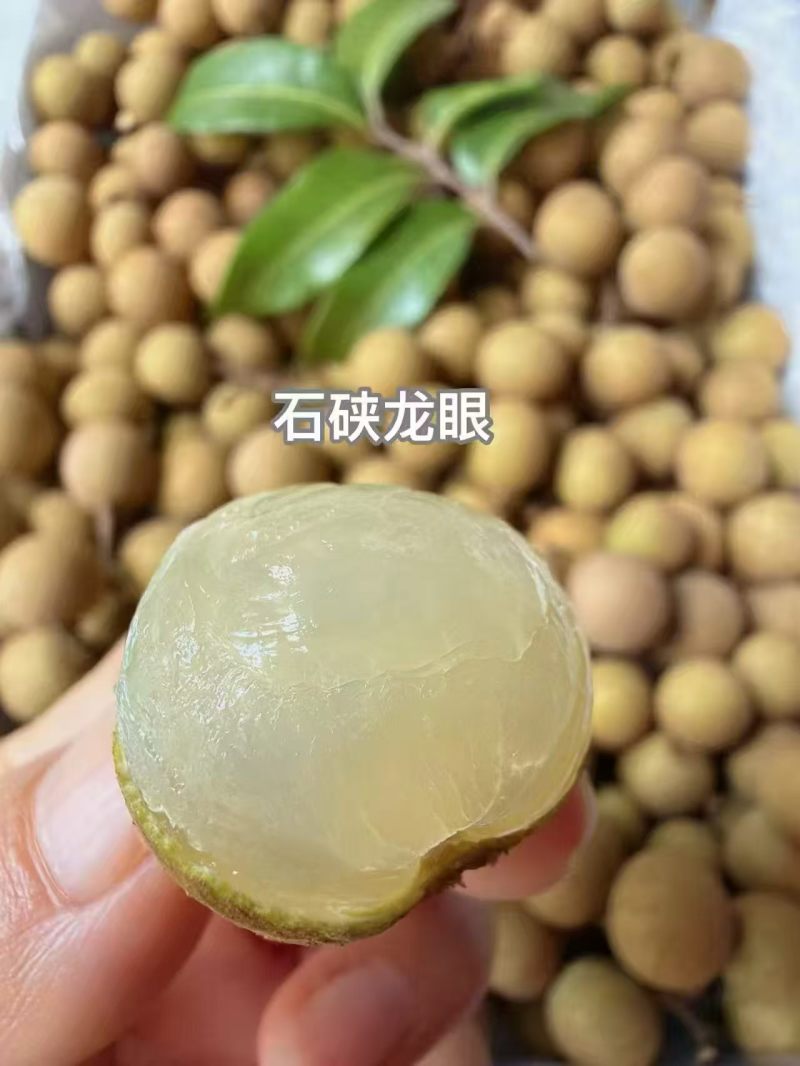 高州石硖龙眼产地直销精品果通货支持代发整车