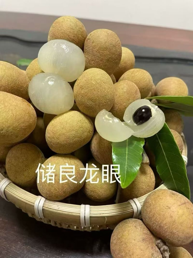 【产地直销】广东高州储良龙眼当季大量上市代办一条龙